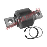 Scania Bugi Burcu Takımı